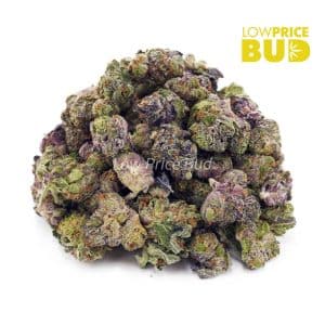 Pink Tuna (AAAA) – Popcorn Nugs Buy Pink Tuna (AAAA) – Popcorn Nugs online Canada