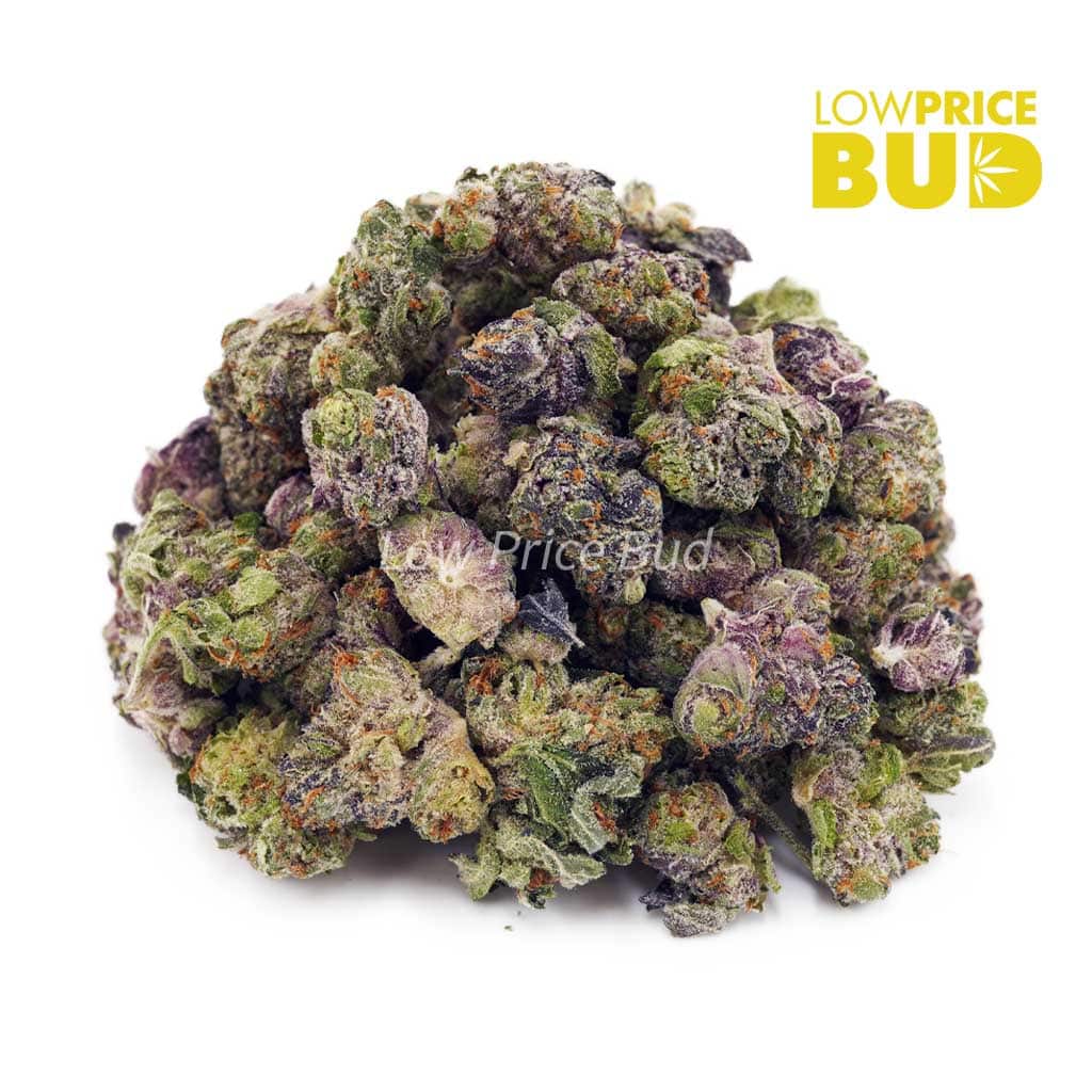 Pink Tuna (AAAA) – Popcorn Nugs Buy Pink Tuna (AAAA) – Popcorn Nugs online Canada