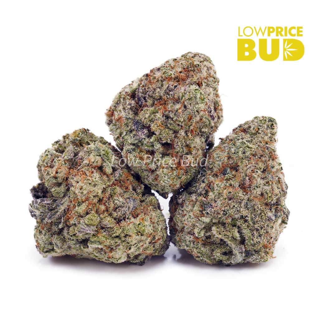 Miracle Alien Cookies (Craft Cannabis) Buy Miracle Alien Cookies (Craft Cannabis) online Canada