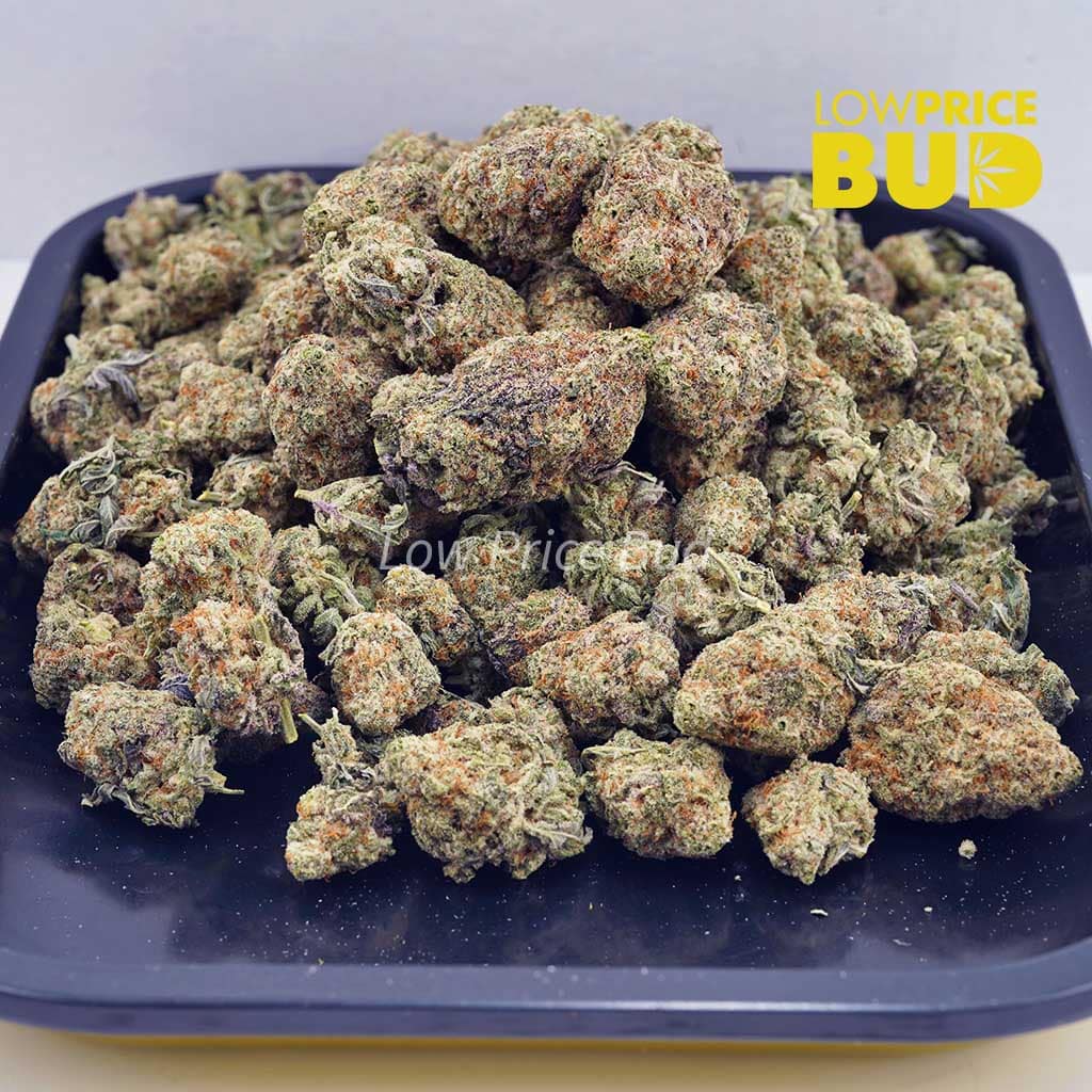 Miracle Alien Cookies (Craft Cannabis) Buy Miracle Alien Cookies (Craft Cannabis) online Canada