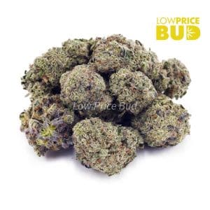 Donkey Breath (Craft Cannabis) Buy Donkey Breath (Craft Cannabis) online Canada
