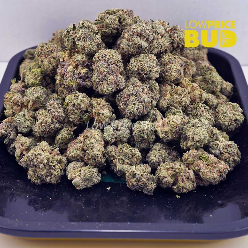 Donkey Breath (Craft Cannabis) Buy Donkey Breath (Craft Cannabis) online Canada