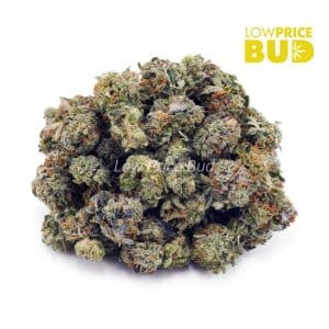 Master Yoda (AAAA) – Popcorn Nugs Buy Master Yoda (AAAA) – Popcorn Nugs online Canada