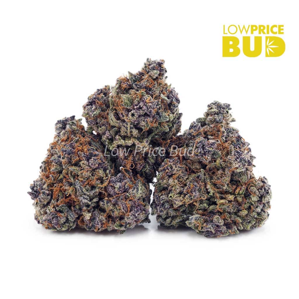 Black Truffle (AAA) Buy Black Truffle (AAA) online Canada