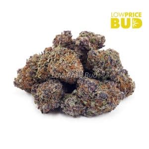 Buy Black Truffle (AAA) online Canada