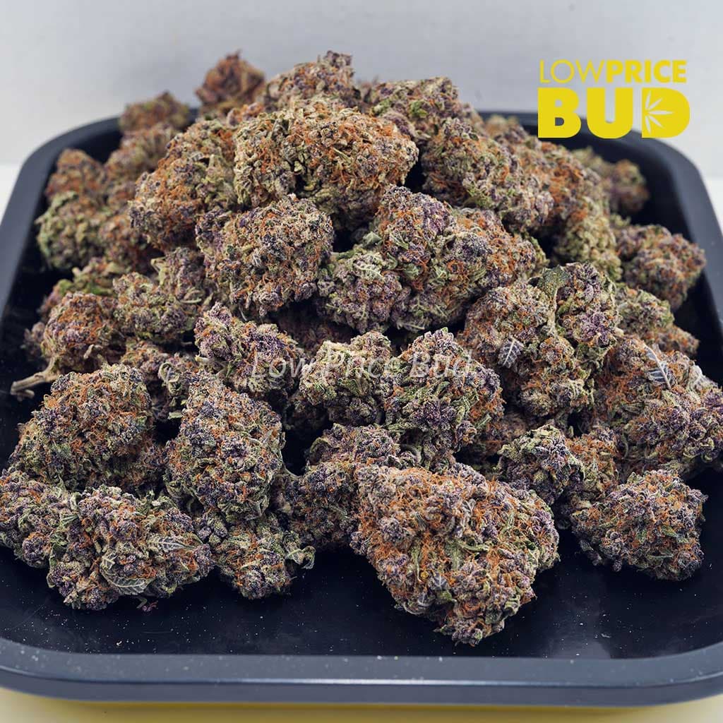 Black Truffle (AAA) Buy Black Truffle (AAA) online Canada