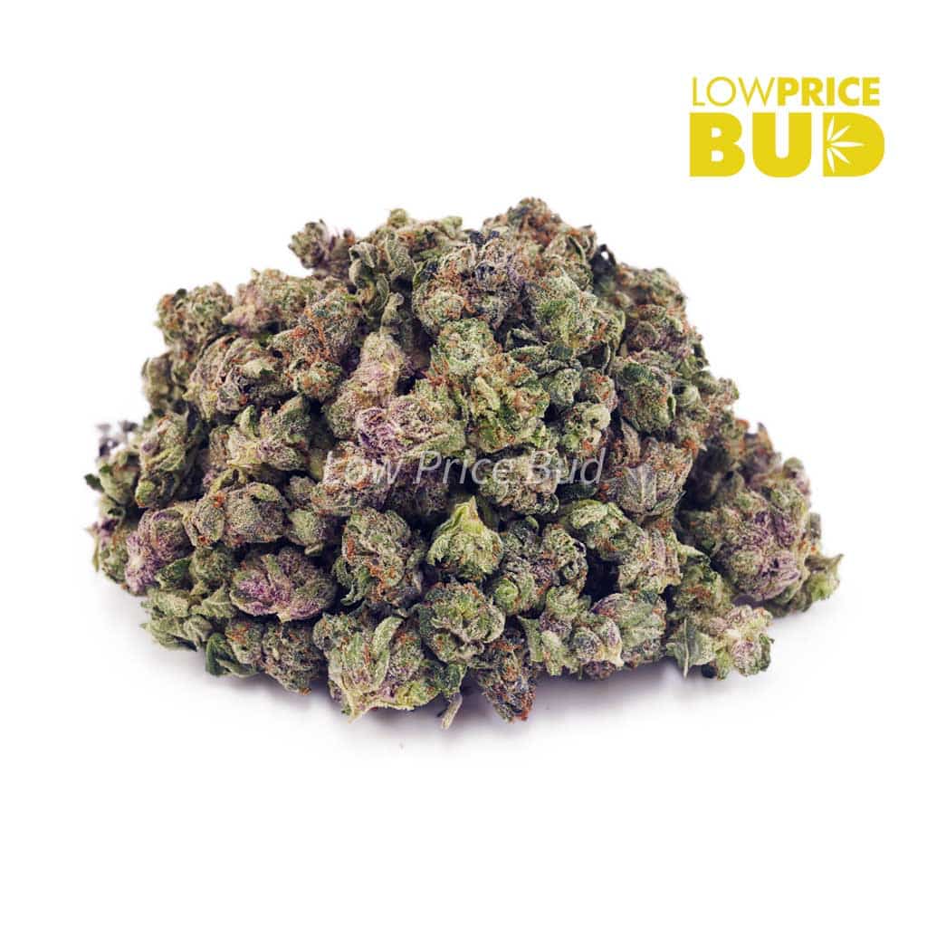 Blueberry Cookies (AAAA) – Popcorn Nugs Buy Blueberry Cookies (AAAA) – Popcorn Nugs online Canada