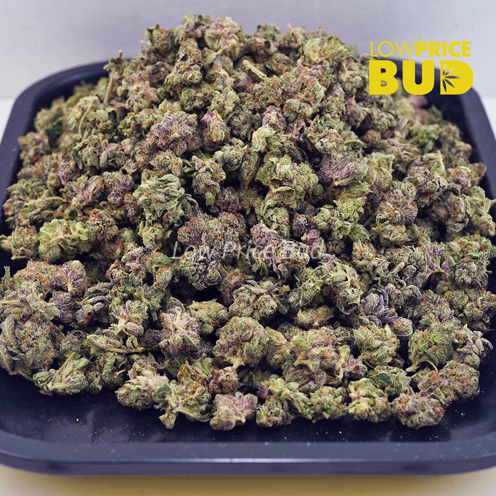 Blueberry Cookies (AAAA) – Popcorn Nugs Buy Blueberry Cookies (AAAA) – Popcorn Nugs online Canada