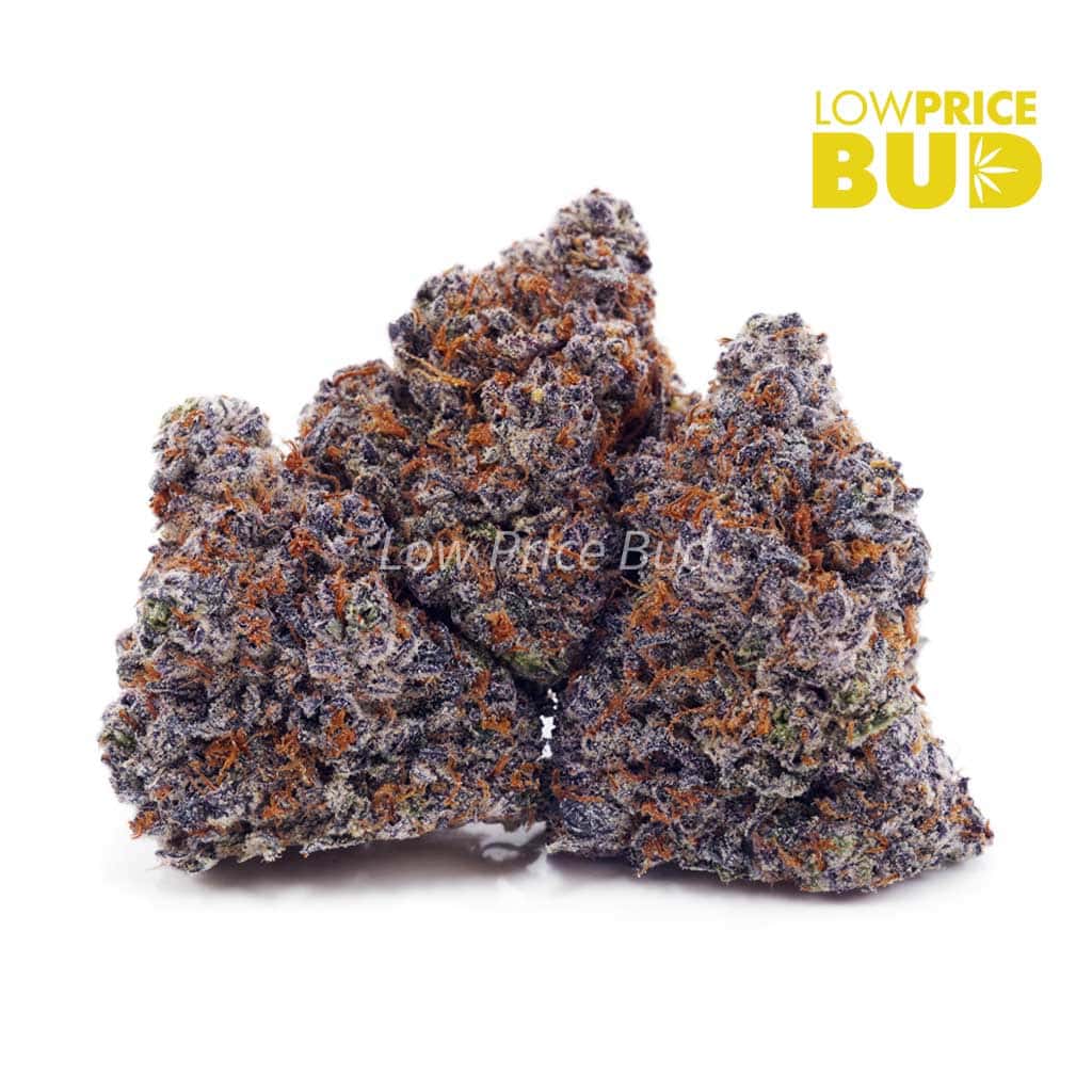 Blue Cheese (AAA) Buy Blue Cheese (AAA) online Canada