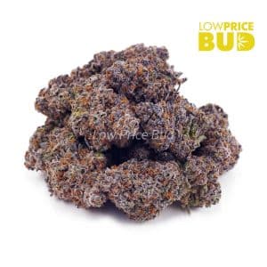 Buy Blue Cheese (AAA) online Canada