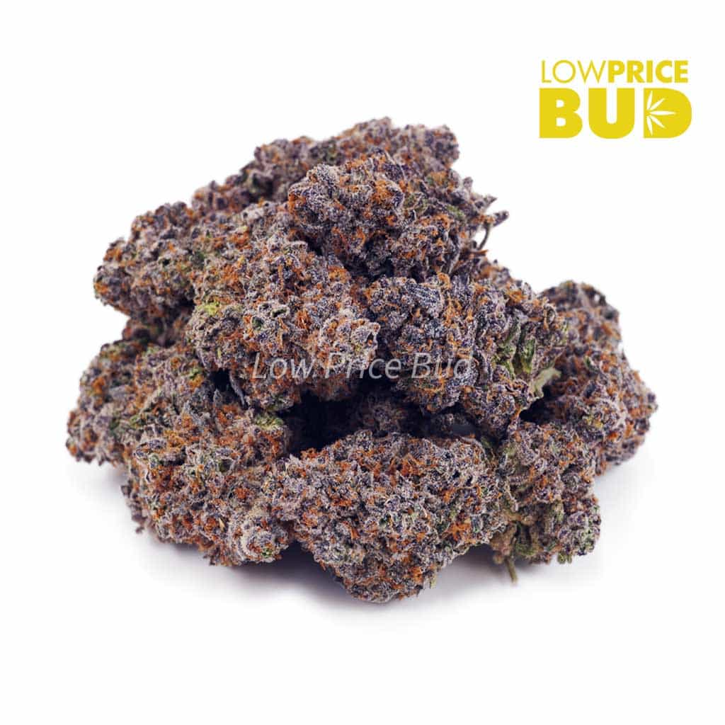 Blue Cheese (AAA) Buy Blue Cheese (AAA) online Canada