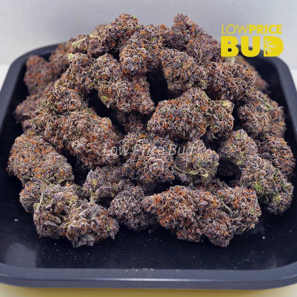 Blue Cheese (AAA) Buy Blue Cheese (AAA) online Canada