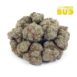 Buy Astro Boy (AAA) online Canada