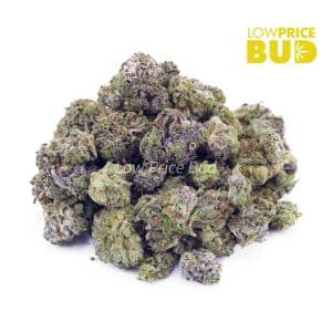 Pineapple Skunk (AAAA) – Popcorn Nugs Buy Pineapple Skunk (AAAA) – Popcorn Nugs online Canada