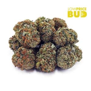 Alaskan Thunder Fuck (AAA) Buy Alaskan Thunder Fuck (AAA) online Canada