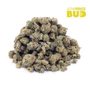 Fruit Loopz (AAAA) – Popcorn Nugs Buy Fruit Loopz (AAAA) – Popcorn Nugs online Canada