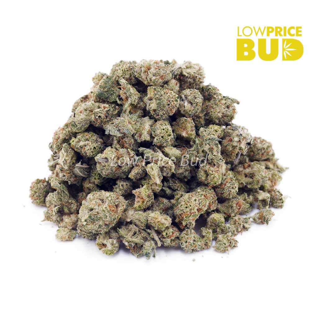 Fruit Loopz (AAAA) – Popcorn Nugs Buy Fruit Loopz (AAAA) – Popcorn Nugs online Canada