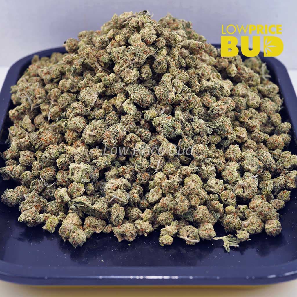 Fruit Loopz (AAAA) – Popcorn Nugs Buy Fruit Loopz (AAAA) – Popcorn Nugs online Canada