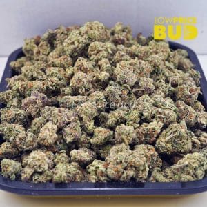 Forum Cut Cookies (AAAA) – Popcorn Nugs Buy Forum Cut Cookies (AAAA) – Popcorn Nugs online Canada