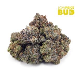 Buy Mike Tyson (Craft Cannabis) online Canada