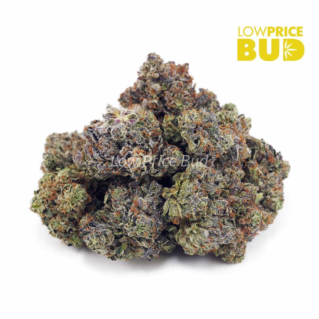 Mike Tyson (Craft Cannabis) Buy Mike Tyson (Craft Cannabis) online Canada