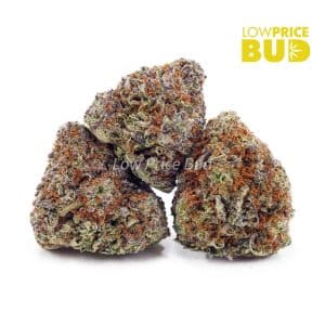 Khalifa Kush (AAA) Buy Khalifa Kush (AAA) online Canada