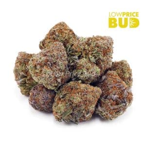 Khalifa Kush (AAA) Buy Khalifa Kush (AAA) online Canada