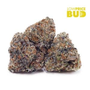 Dank Kush Breath (Craft Cannabis) Buy Dank Kush Breath (Craft Cannabis) online Canada