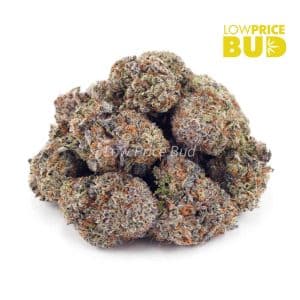 Dank Kush Breath (Craft Cannabis) Buy Dank Kush Breath (Craft Cannabis) online Canada