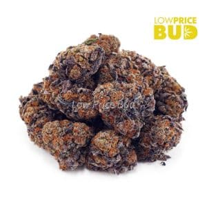 Purple Kush (AAA) Buy Purple Kush (AAA) online Canada