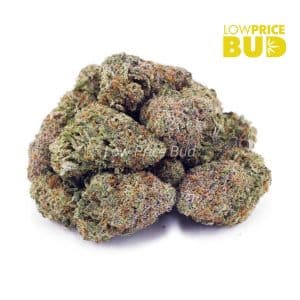 Bubba Kush (AAA) Buy Bubba Kush (AAA) online Canada