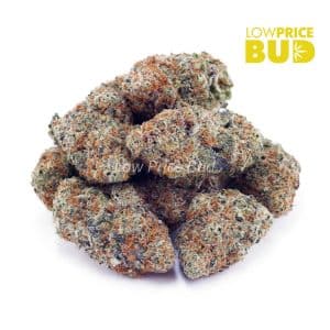 Northern Lights (AAA) Buy Northern Lights (AAA) online Canada