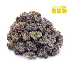 Mimosa Punch (AAAA) – Popcorn Nugs Buy Mimosa Punch (AAAA) – Popcorn Nugs online Canada