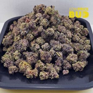 Mimosa Punch (AAAA) – Popcorn Nugs Buy Mimosa Punch (AAAA) – Popcorn Nugs online Canada