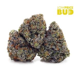 Supreme Gas Mask (Craft Cannabis) Buy Supreme Gas Mask (Craft Cannabis) online Canada