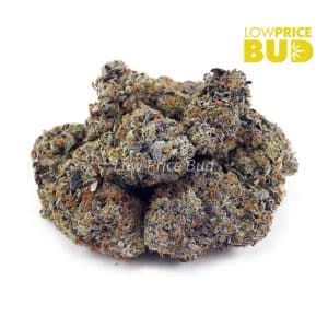Supreme Gas Mask (Craft Cannabis) Buy Supreme Gas Mask (Craft Cannabis) online Canada