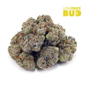 Super Skunk (AAAA) Buy Super Skunk (AAAA) online Canada