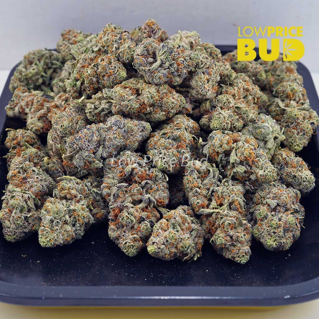 Super Skunk (AAAA) Buy Super Skunk (AAAA) online Canada