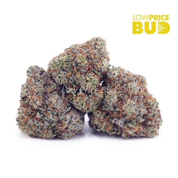 Buy White Rhino (AAA) online Canada