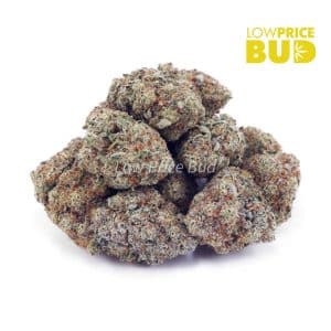 Buy White Rhino (AAA) online Canada