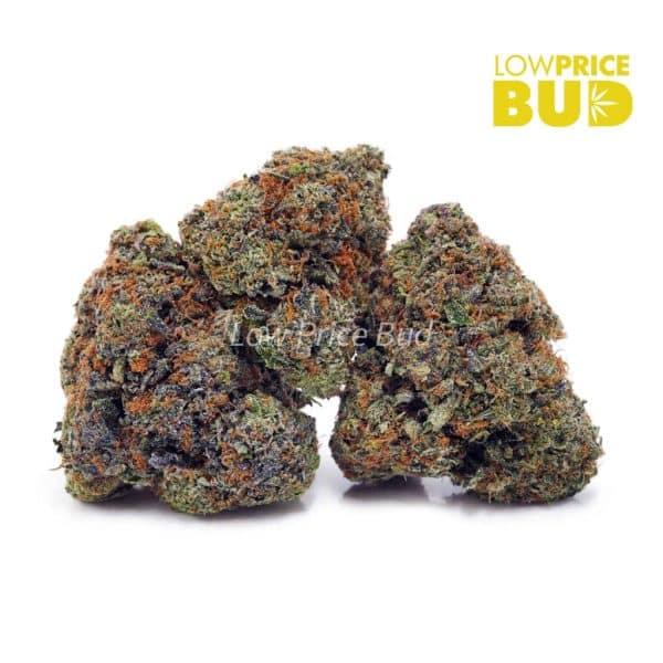 Buy Platinum Pink (AAAA) online Canada