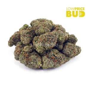 Buy Bubba Kush (AAA) online Canada