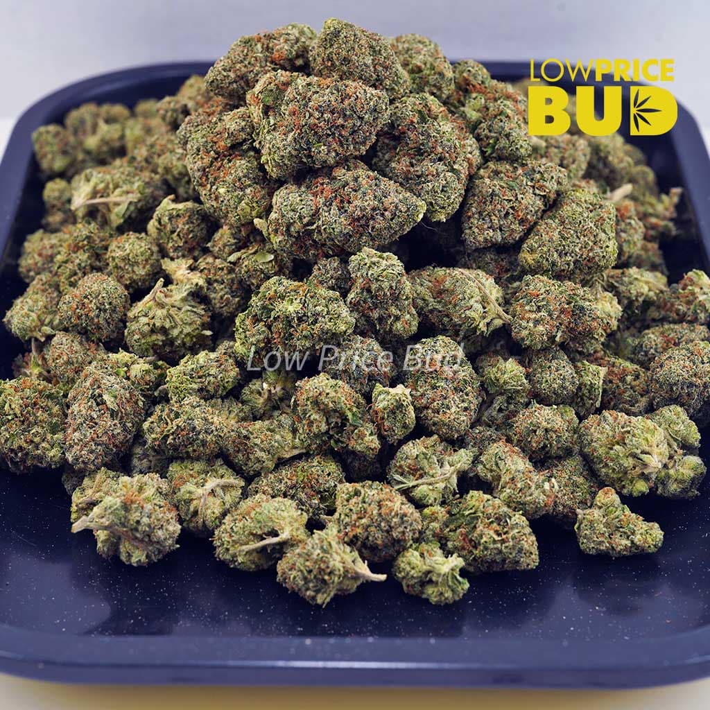 Bubba Kush (AAA) Buy Bubba Kush (AAA) online Canada
