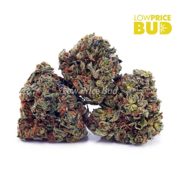 Buy Alaskan Thunder Fuck (AAA) online Canada
