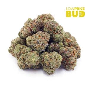 Buy Birthday Cake Kush (AAAA) online Canada
