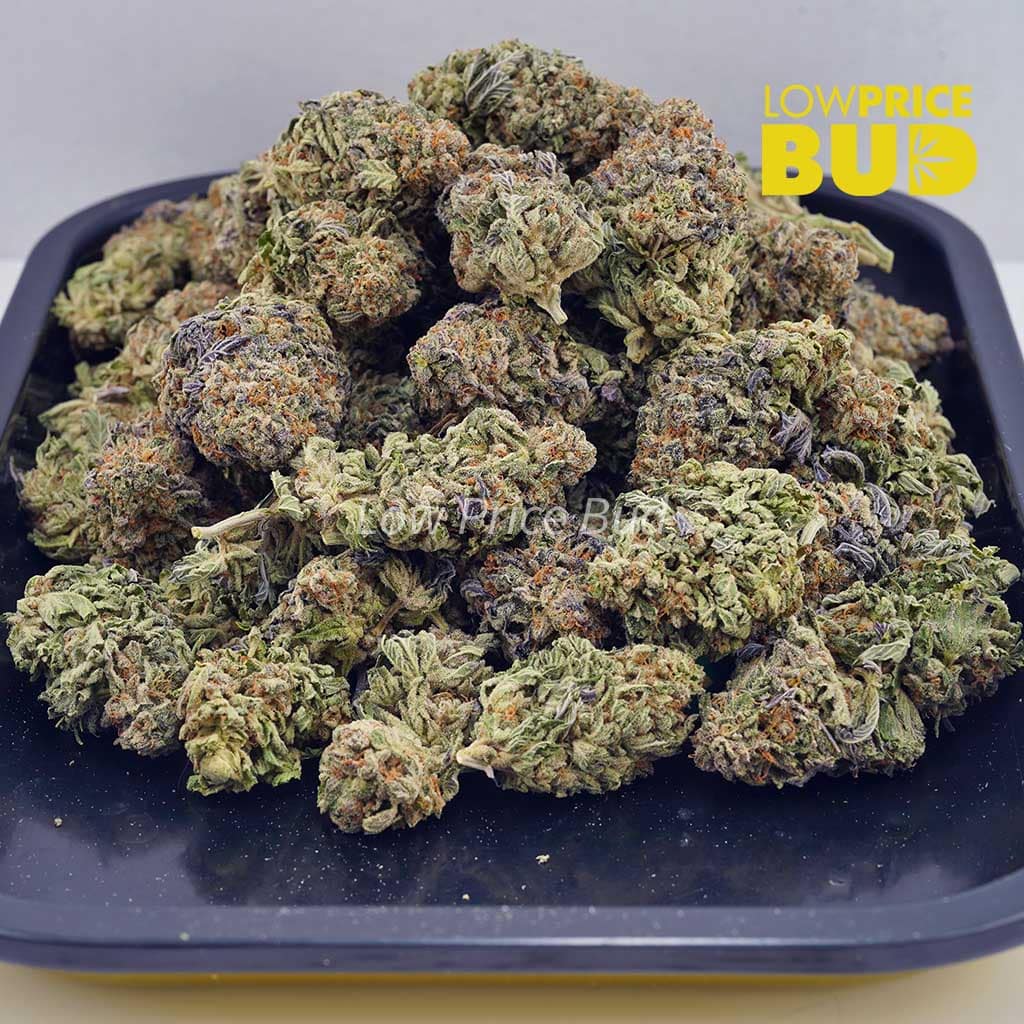 White Rhino (AAA) Buy White Rhino (AAA) online Canada