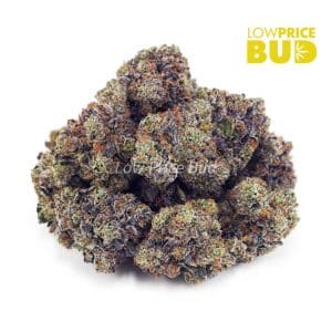 Death Star (AAAA) Buy Death Star (AAAA) online Canada