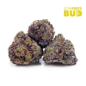Buy Grape Stomper (AAAA) online Canada