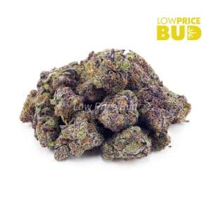 Buy Grape Stomper (AAAA) online Canada