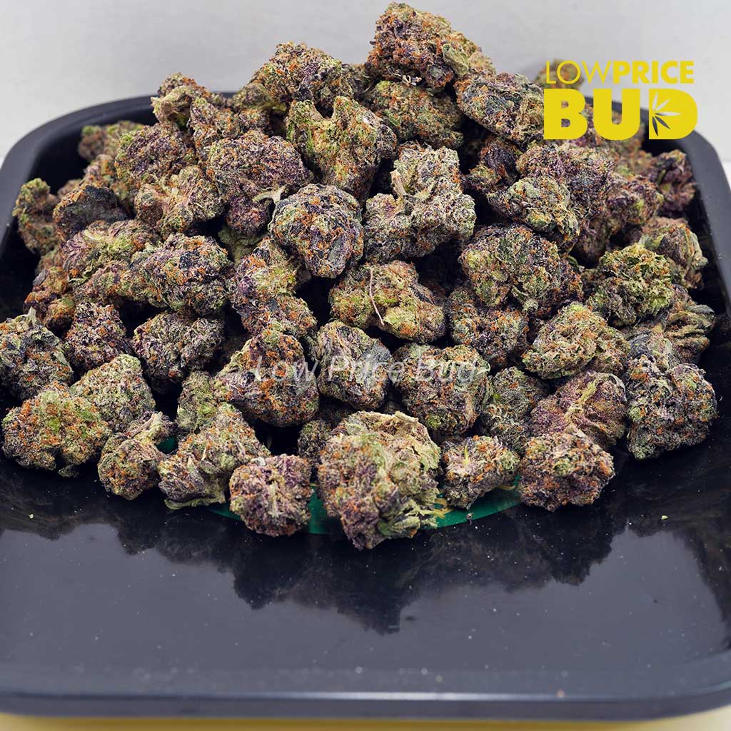 Grape Stomper (AAAA) Buy Grape Stomper (AAAA) online Canada